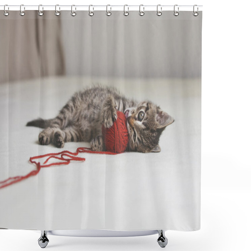 Personality  Kitten Plays With Tangle Of Thread Shower Curtains