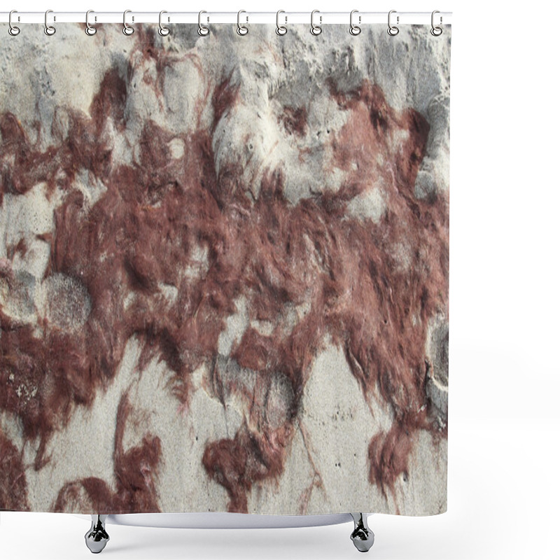 Personality  Red Algae Beach Shower Curtains