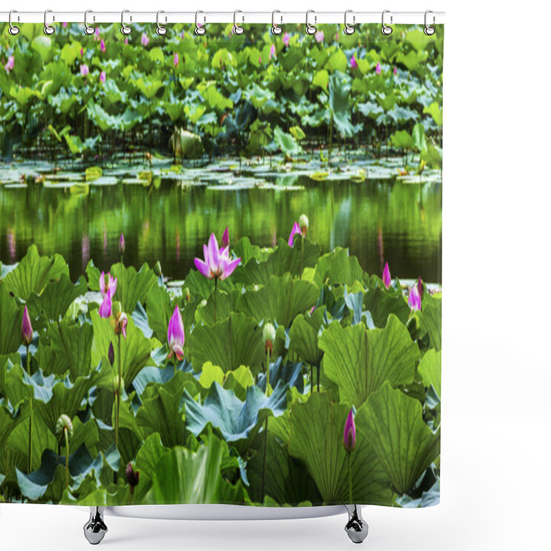 Personality  Lotus Garden Reflection Summer Palace Beijing, China Shower Curtains