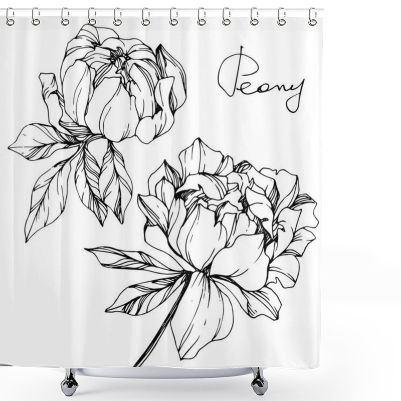 Personality  Vector Isolated Monochrome Peony Flowers Sketch And Handwritten Lettering On White Background. Engraved Ink Art.  Shower Curtains