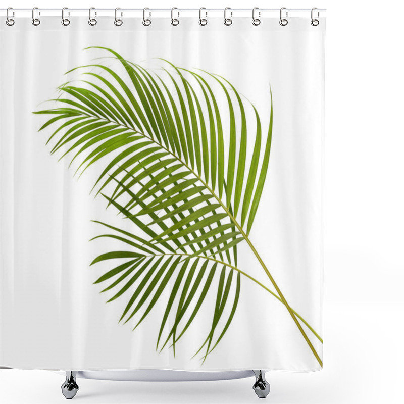 Personality  Yellow Palm Leaves (Dypsis Lutescens) Or Golden Cane Palm, Areca Palm Leaves, Tropical Foliage Isolated On White Background With Clipping Path Shower Curtains