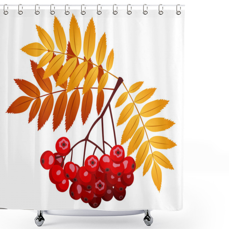 Personality  Rowan Branch With Rowanberries And Leaves. Vector Illustration. Shower Curtains