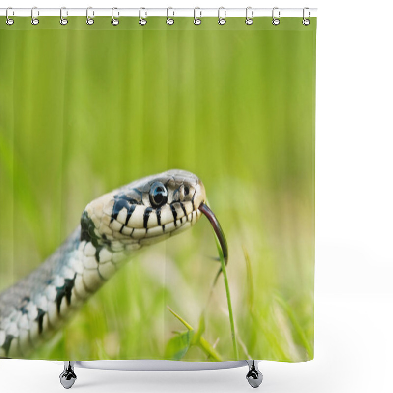 Personality  Snake Shower Curtains