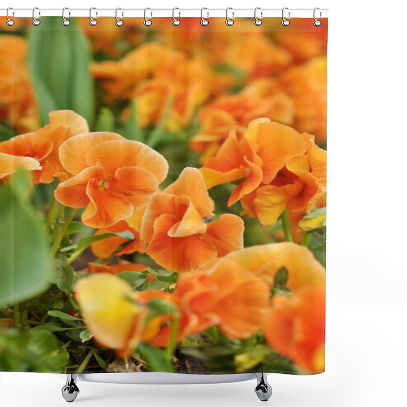 Personality  Orange Flowers Shower Curtains