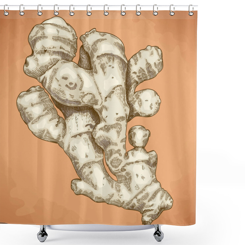 Personality  Engraving Illustration Of Ginger Root Shower Curtains