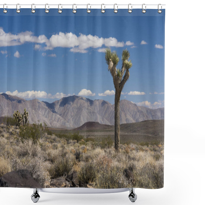 Personality  Desert Joshua Trees Shower Curtains