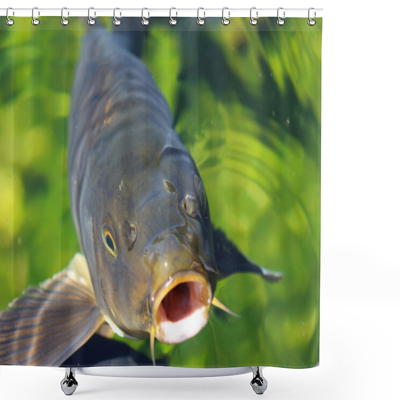 Personality  Carp And Green Water Shower Curtains