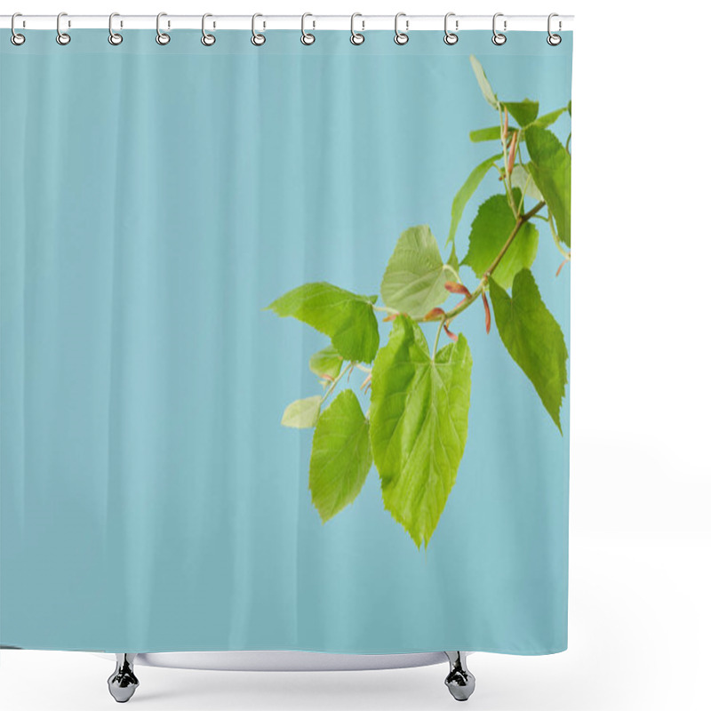 Personality  Green Leaves On Tilia Branch Isolated On Blue Shower Curtains