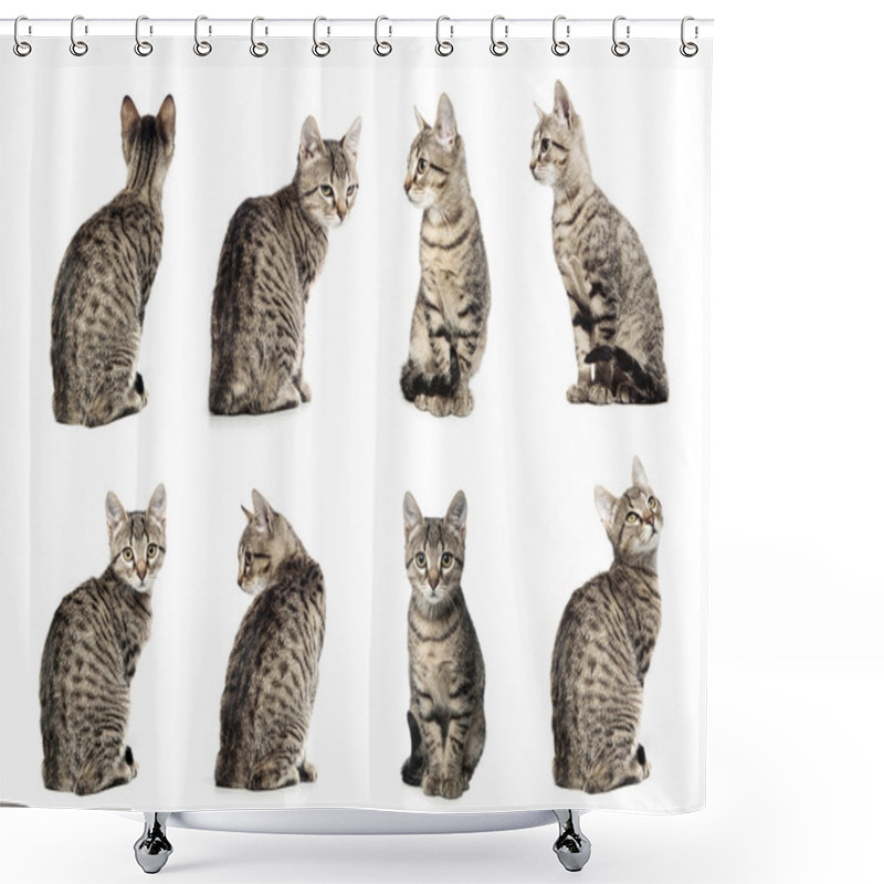 Personality  Collage Of Little Gray Cat In Different Positions Isolated On Wh Shower Curtains