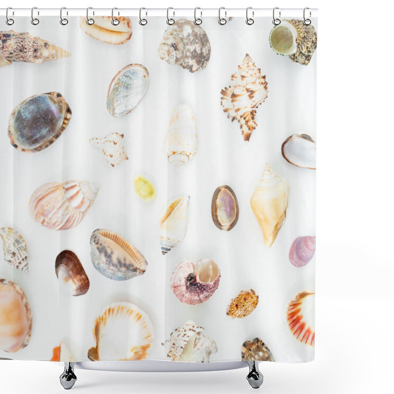 Personality  Various Sea Shells On White Shower Curtains