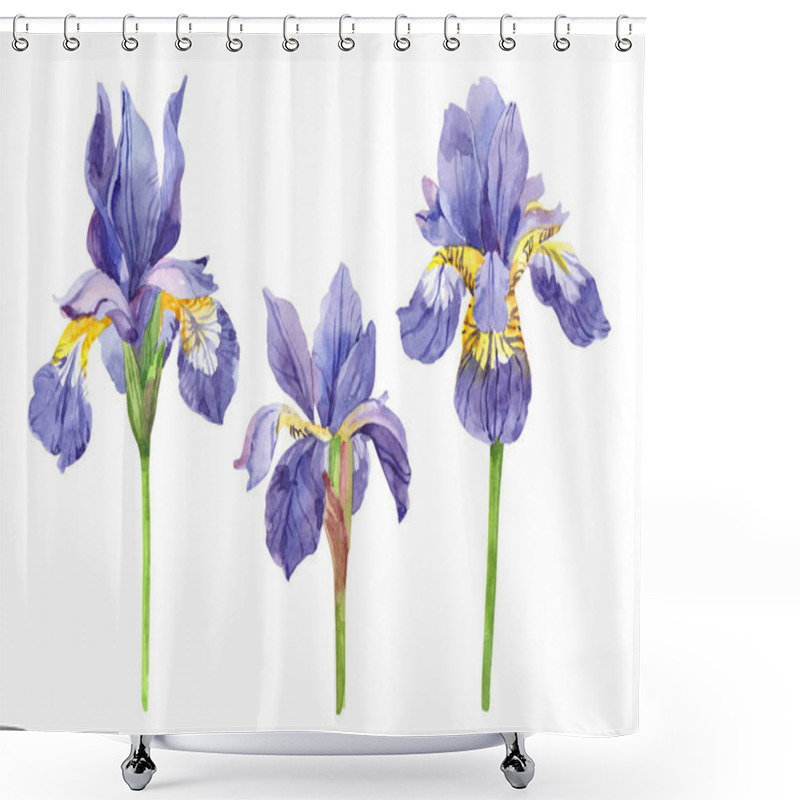 Personality  Watercolor Set Of Irises, Hand Drawn Floral Illustration, Blue Flowers Isolated On White Background. Shower Curtains