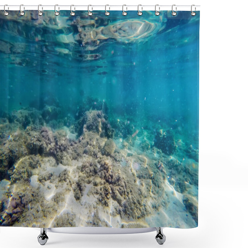 Personality  Seaweeds And Rocks In Sardinia Shower Curtains