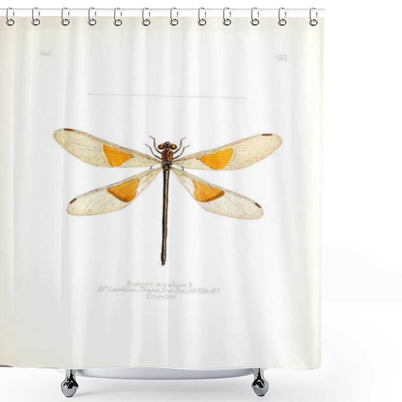 Personality  Illustration Of Insects. Old Image Shower Curtains