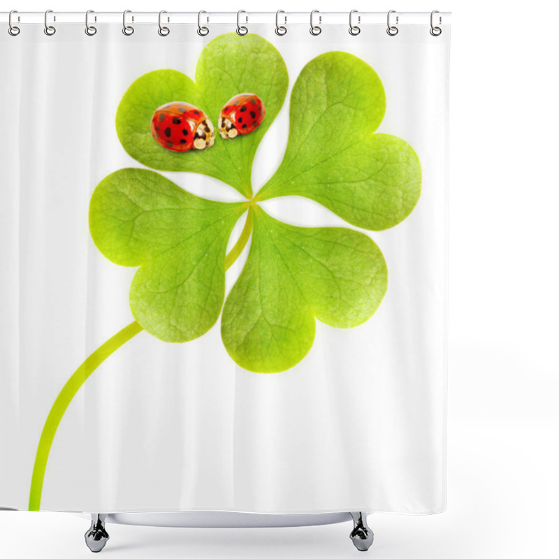 Personality  Four Leaf Clover And Ladybug Couple. Shower Curtains