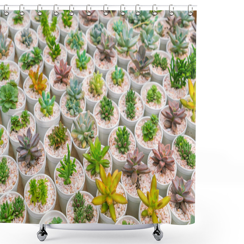 Personality  Beautiful Small Cactus Field . Shower Curtains