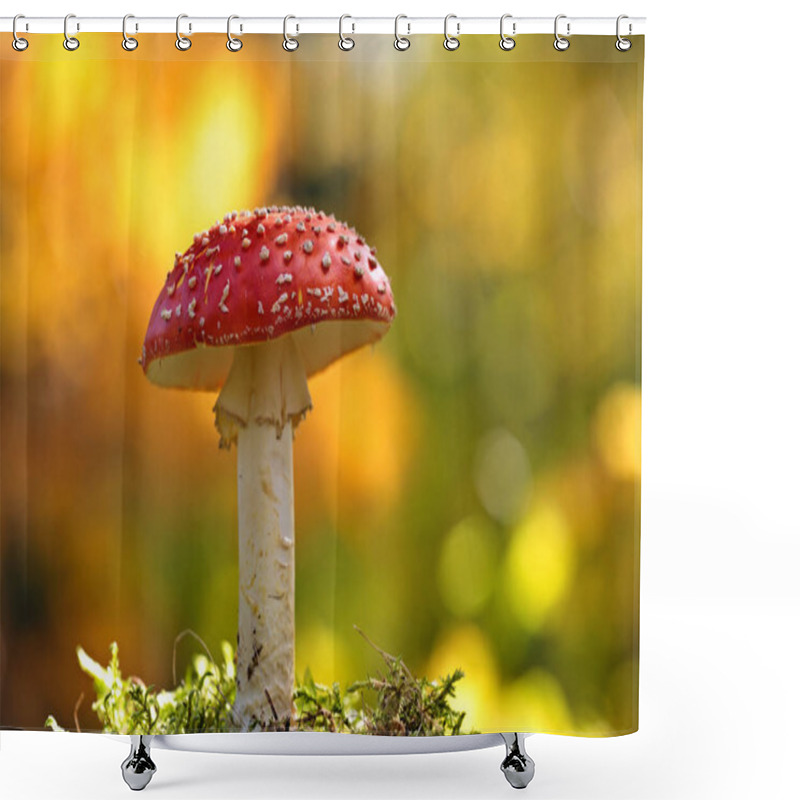 Personality  A Beautiful Red Fly Agaric With Bright And Vivid Yellow Background Shower Curtains