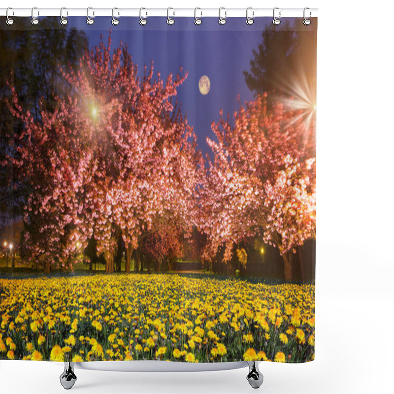 Personality  Ukrainian Sakura In The Carpathians Shower Curtains