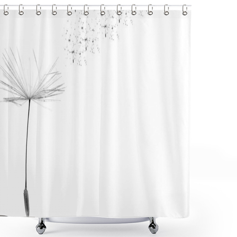 Personality  Dandelion Time. Dandelion Seeds Blowing In The Wind. The Wind Inflates A Dandelion. Copy Space In Right. Shower Curtains