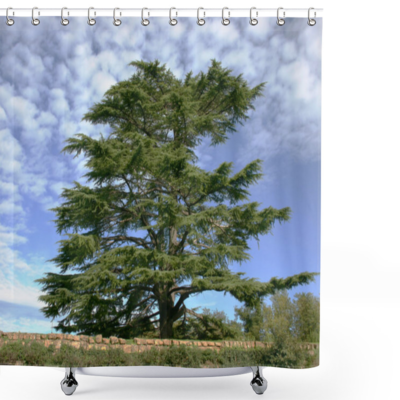 Personality  Cedar Of Lebanon Shower Curtains