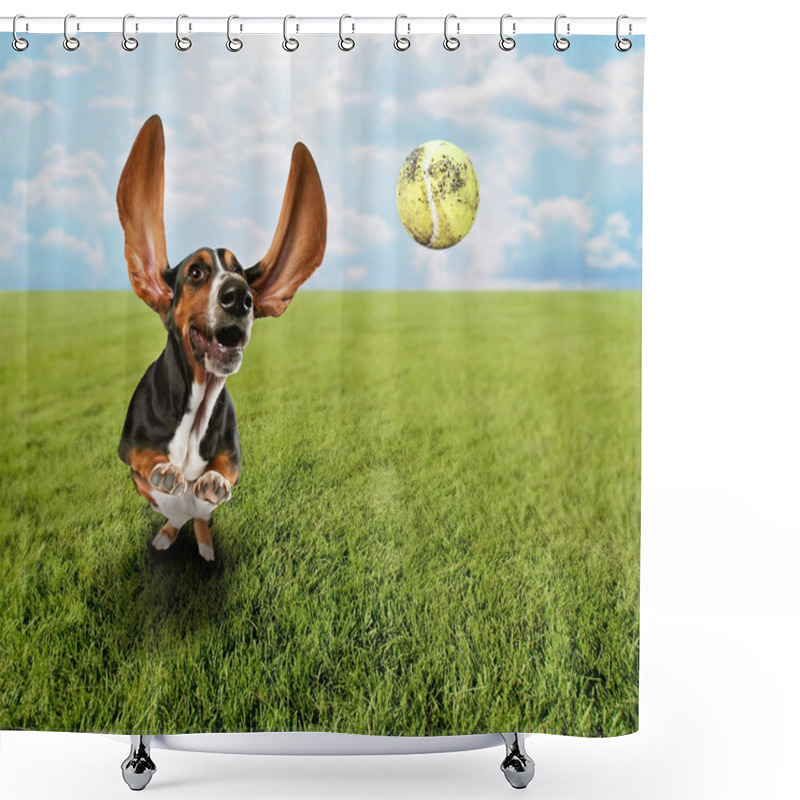 Personality  Basset Hound Chasing Tennis Ball Shower Curtains