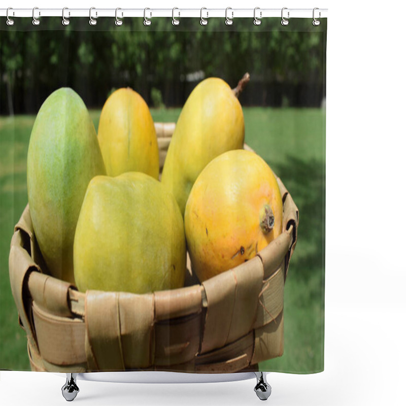 Personality  Fresh Kesar Mango Variety From India, Grown In Gir Gujarat Also In Maharastra.. Aromatic Flavour Organic Mangoes. Summer Season Special Fruit Mangoe Is Known As King Of Fruits. Mangos In Basket Shower Curtains