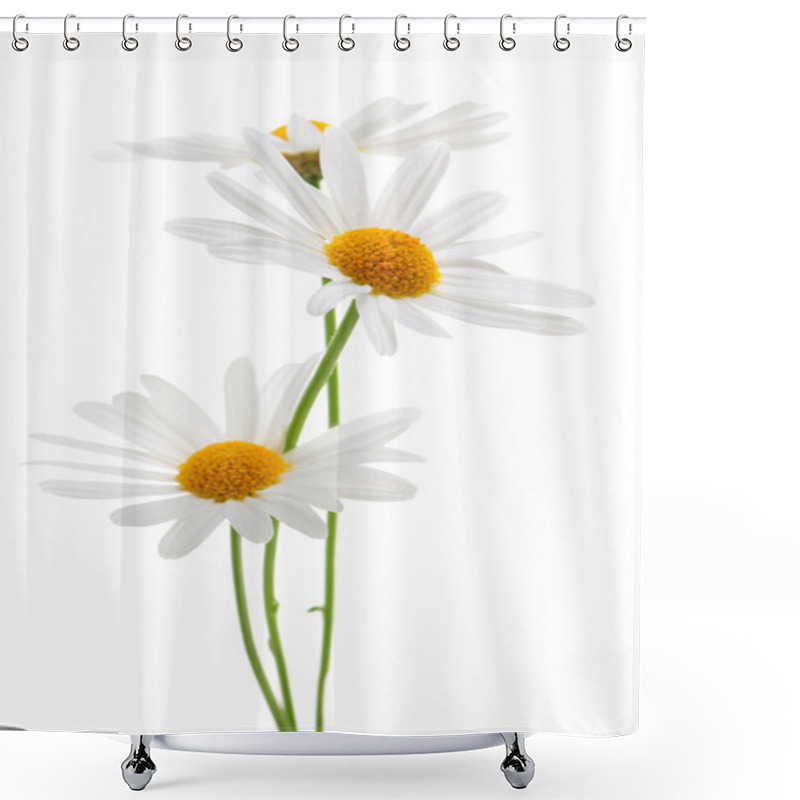 Personality  Daisies On White Background Shower Curtains