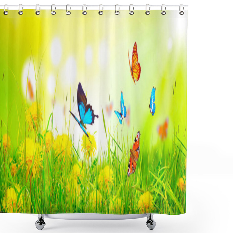 Personality  Flying Butterfly In Spring Morning. Panoramic View. Shower Curtains