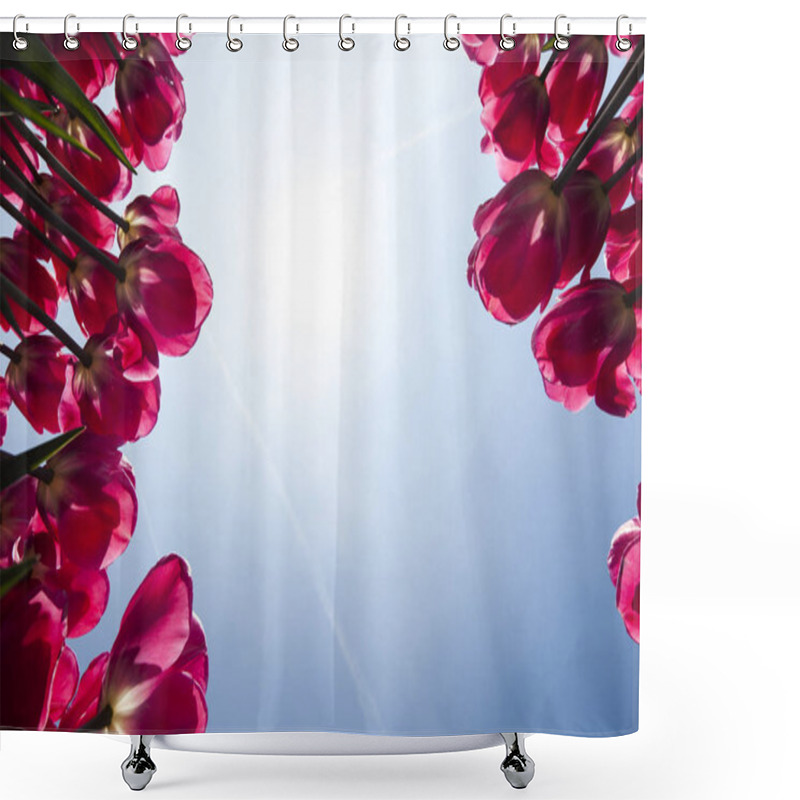 Personality  Fresh Spring Tulips Shower Curtains