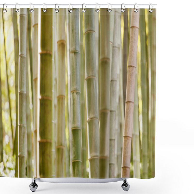 Personality  Bamboo Stems Forest Shower Curtains