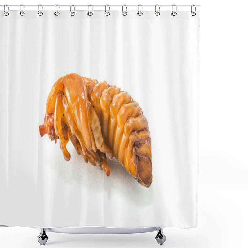 Personality  Chrysalis Of Rhinoceros  Shower Curtains