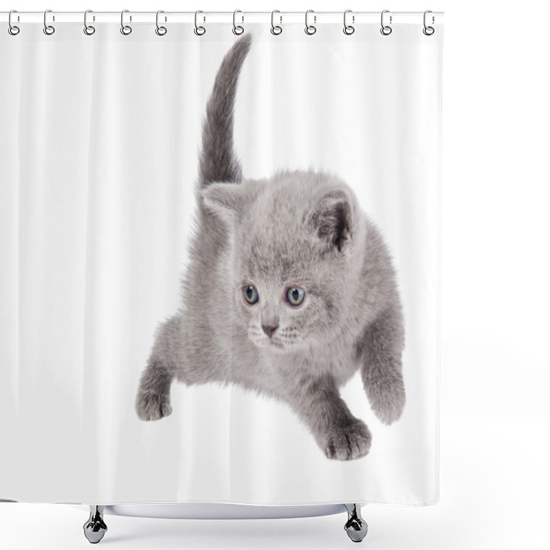 Personality  One Little British Kitten Cat Shower Curtains