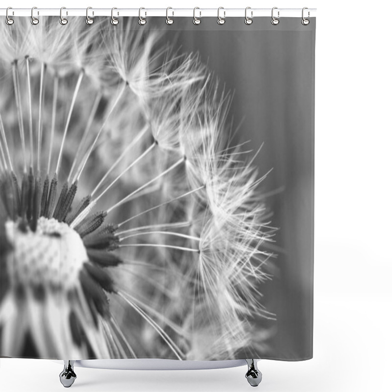 Personality  Close-up Of Dandelion Seed Head Shower Curtains