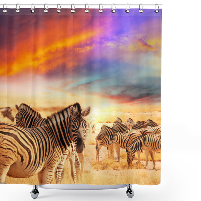 Personality  Zebras Herd Shower Curtains