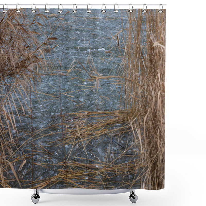 Personality  Reeds Growing Out Of The Water On A Frozen Lake Shower Curtains