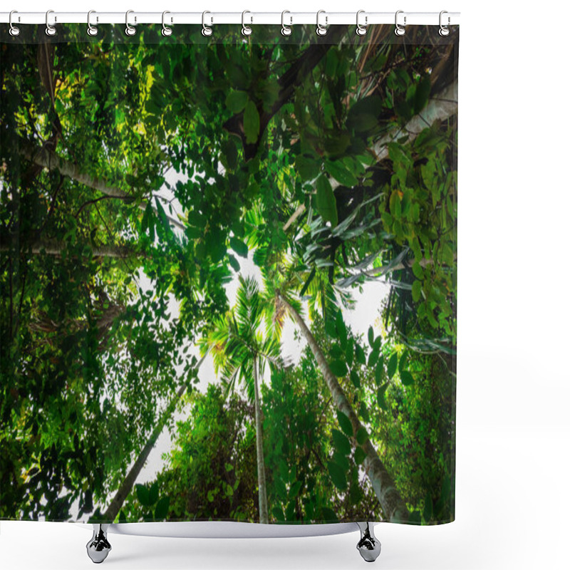 Personality  Bottom View Palm Tree In Jungle And Branches.forest And Environment Concept Shower Curtains