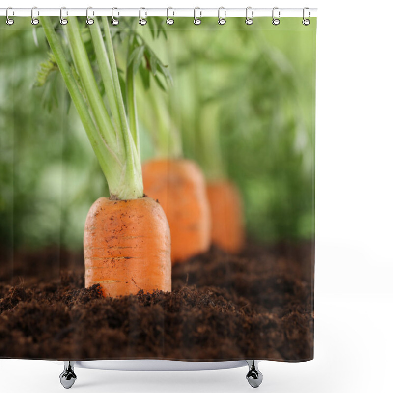 Personality  Fresh Carrots In Vegetable Garden Shower Curtains