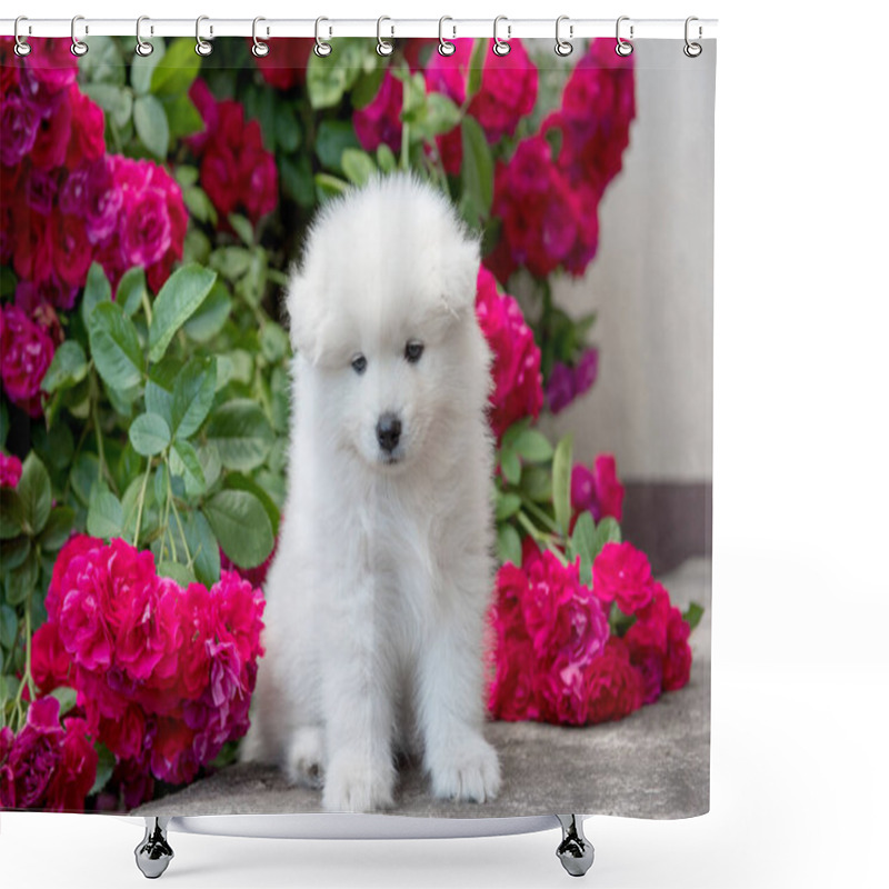 Personality  White Furry Samoyed Puppy Sitting With Red Roses Shower Curtains