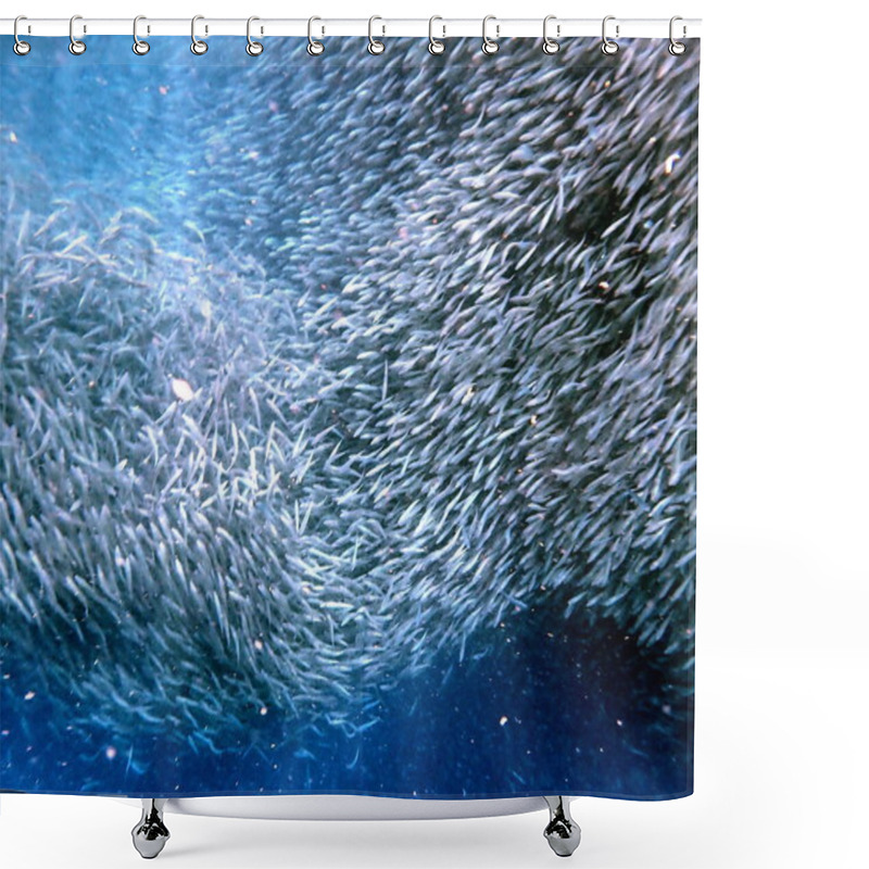 Personality  Swarm Of Sardines In The Pacific Ocean Near Moalboal On Cebu Island Shower Curtains