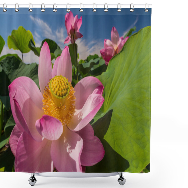 Personality  The Lake Of Lotus Flowers Shower Curtains