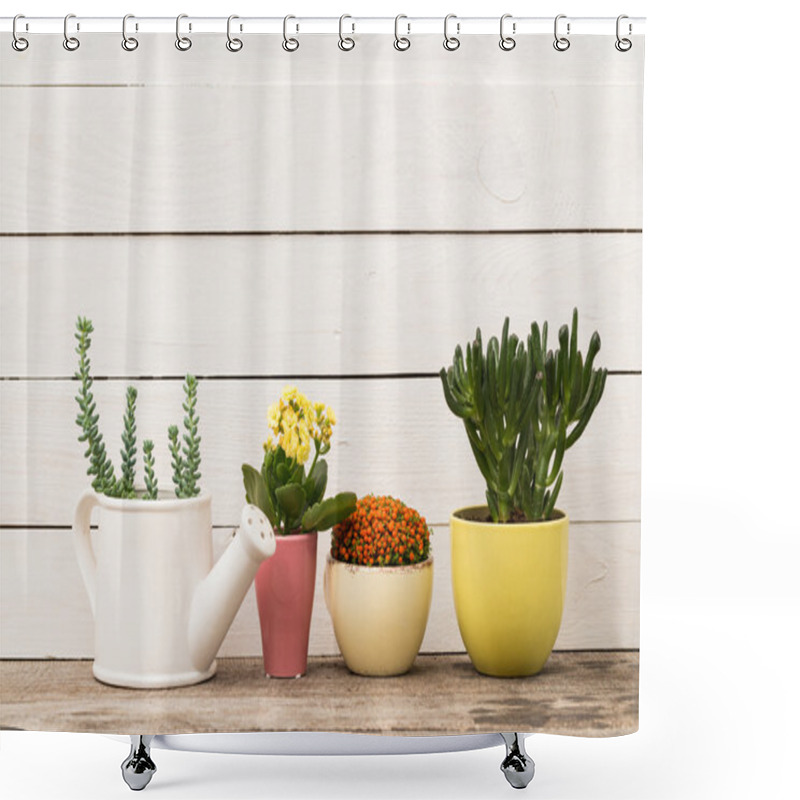 Personality  House Plants In Pots On Wooden Background Shower Curtains