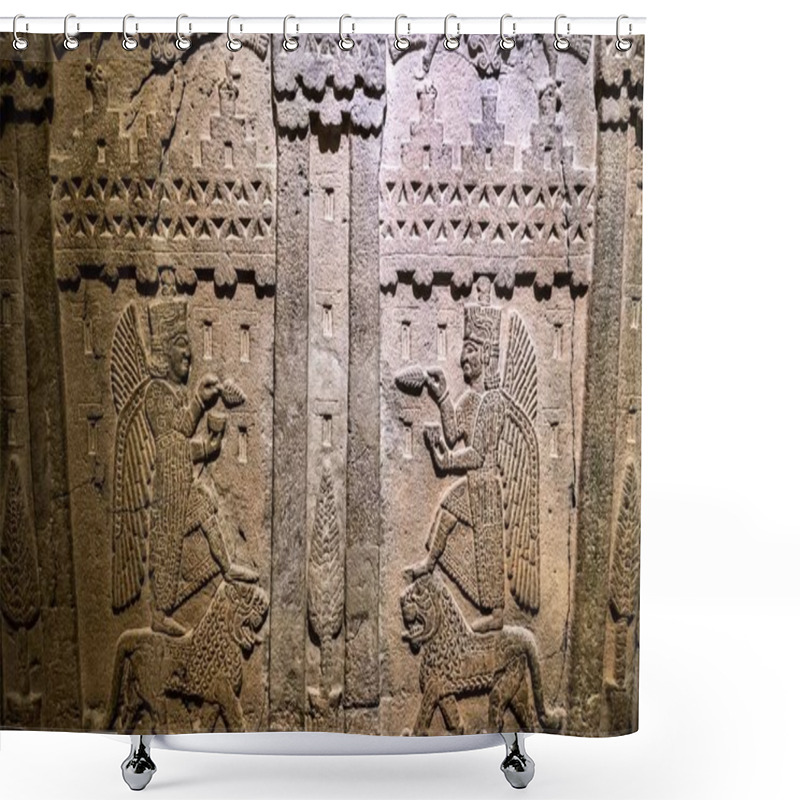 Personality  A Closeup Of Ancient Wall Carvings Of Human And Animal Figures Displayed At The Museum Of Anatolian Civilizations Ankara, Turkey Shower Curtains