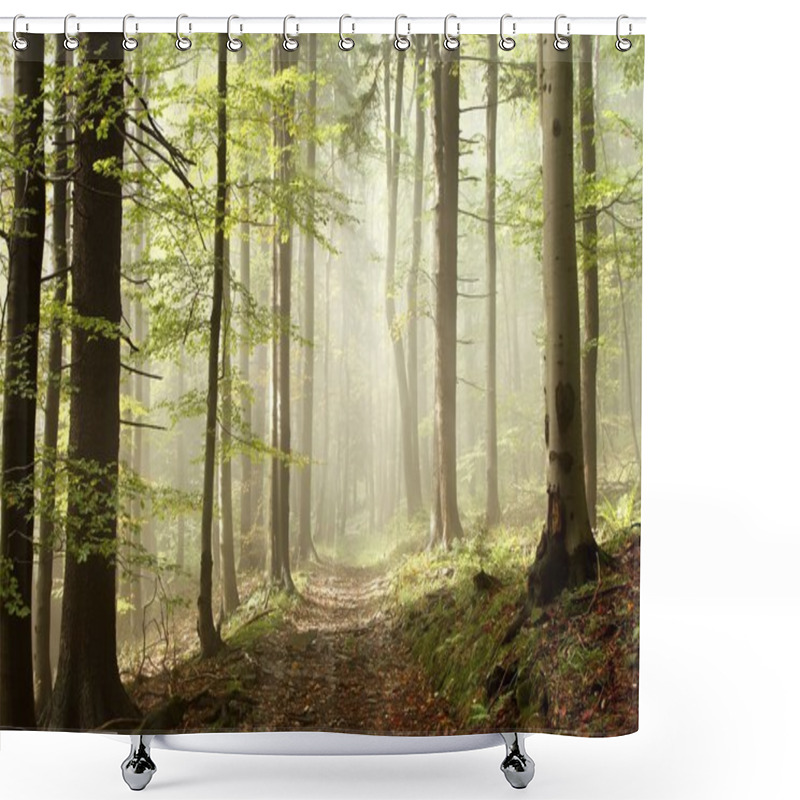 Personality  Forest Path On Misty Autumn Morning Shower Curtains