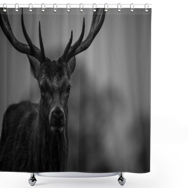 Personality  Beautiful Red Deer Shower Curtains