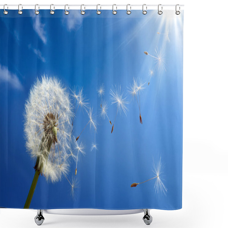 Personality  Allergy Concept In Spring Shower Curtains