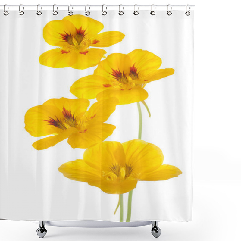 Personality  Nasturtium Shower Curtains