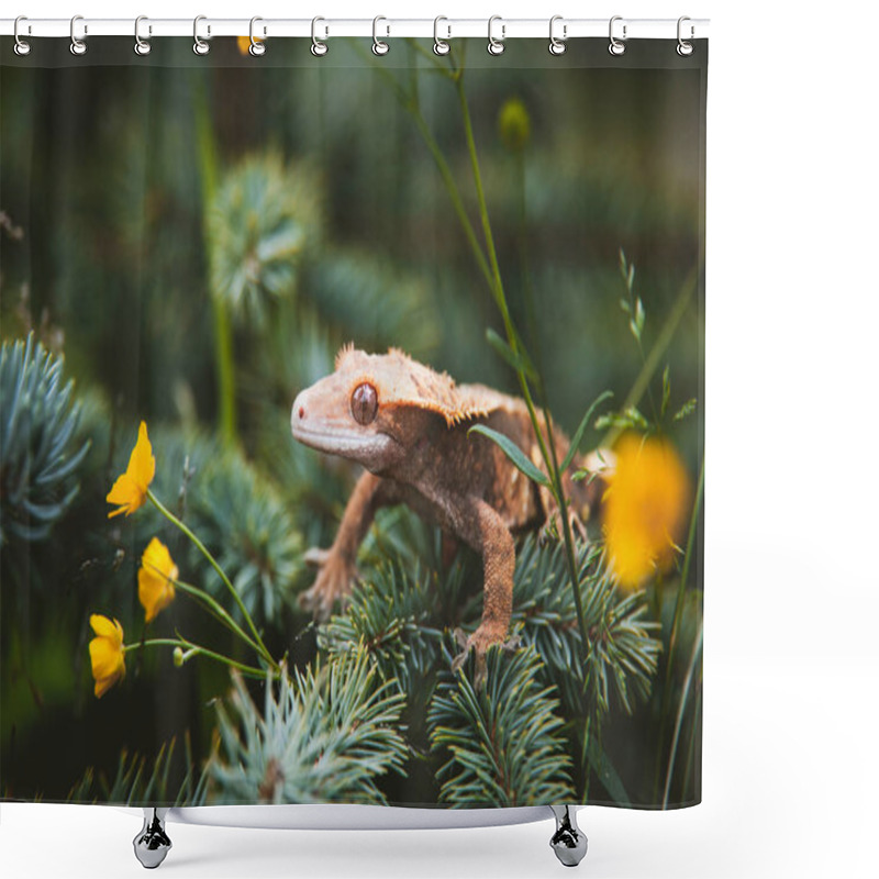 Personality  New Caledonian Crested Gecko On Tree With Flowers Shower Curtains