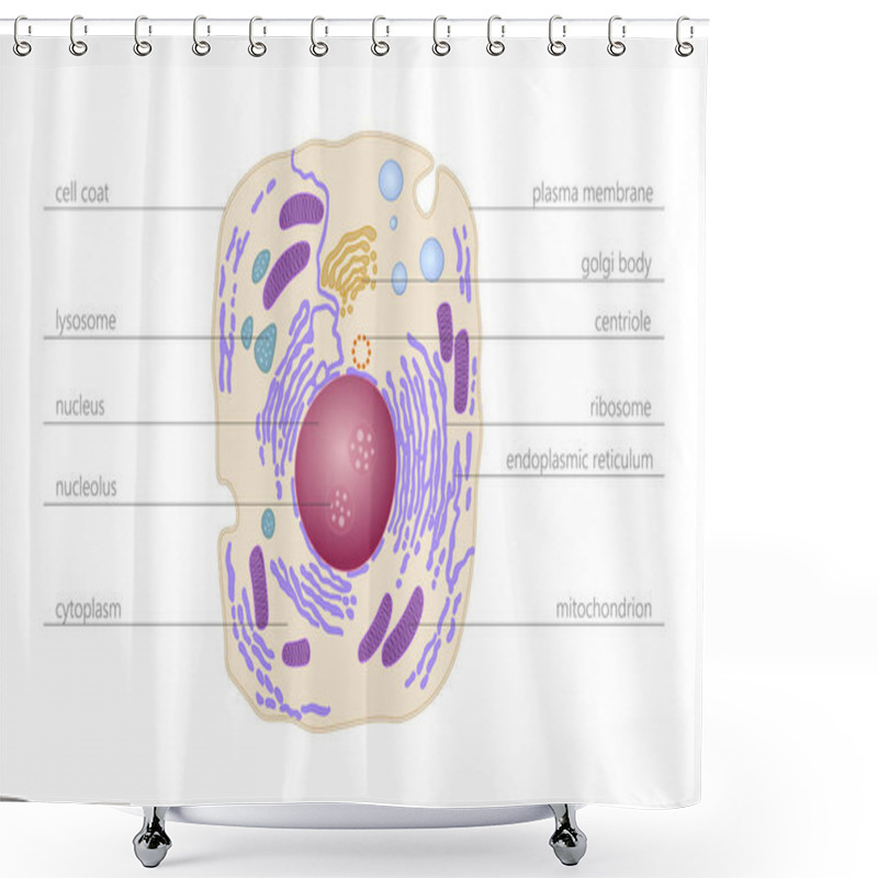 Personality  Animal Human Cell Structure Educational Science. Microscope 3d Eukaryotic Nucleus Organelle Medicine Technology Analysis. Glowing Colored Biology Poster Template Isolated Line Vector Illustration Shower Curtains