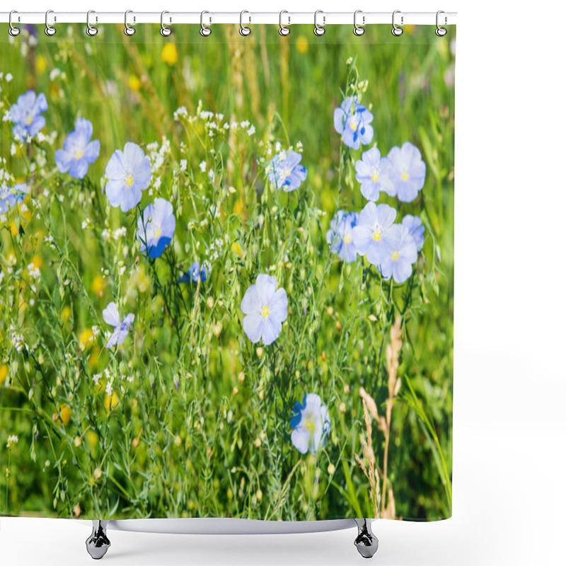 Personality  Blue Flax In A Farm Field Shower Curtains