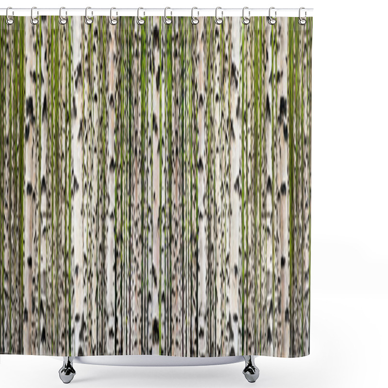 Personality  Birch Tree Forest Shower Curtains