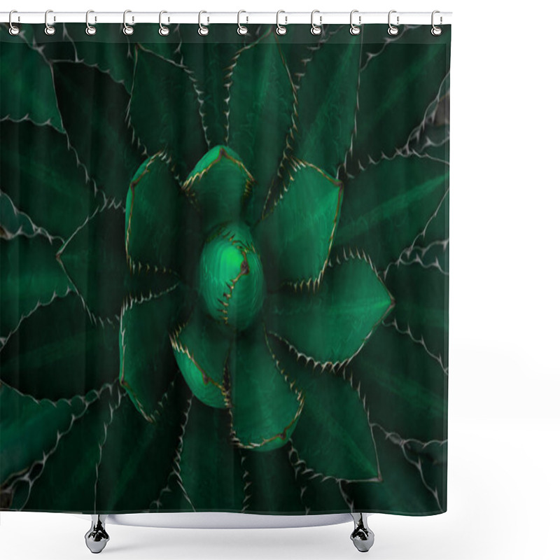 Personality  Top View Of Dark Green Leaves. Agave Univittata, The Thorn-crested Century Plant Or Thorn-crested Agave. Abstract Natural Green Leaf Wallpaper Pattern Texture Background. Flat Lay, Nature Concept. Shower Curtains